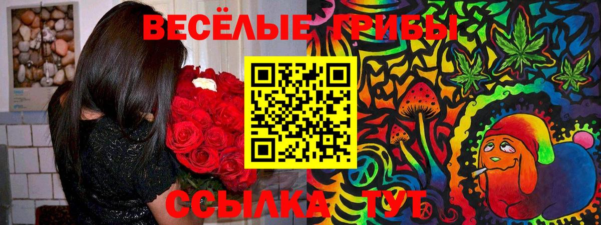 Псилоцибиновые грибы MAGIC MUSHROOMS Корсаков