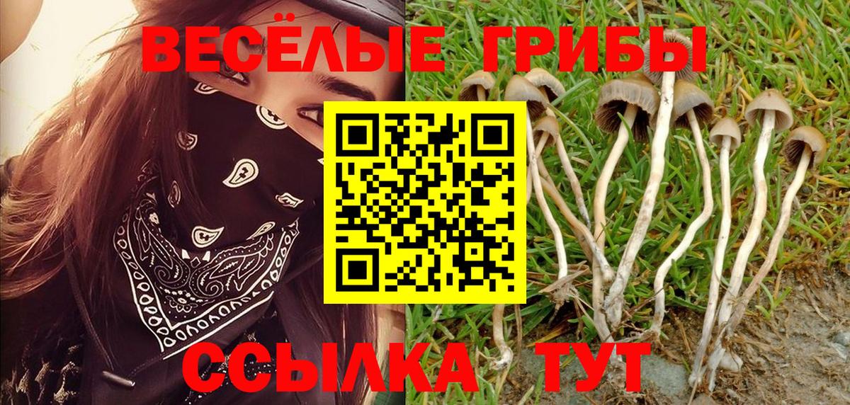 Псилоцибиновые грибы мухоморы  Псилоцибиновые грибы мицелий  Корсаков  Вход с VPN 